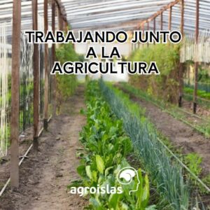 CON AGROISLAS SIEMPRE AL LADO DEL CAMPO