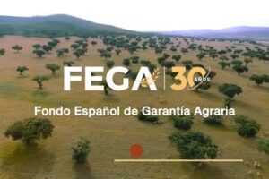 SEMANA 23.25. FEGA