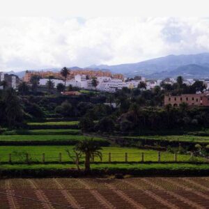 CANARIAS REFUERZA SU APOYO AGRARIO
