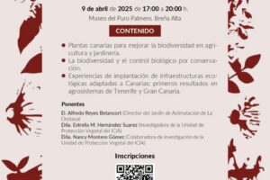 icia 20.25