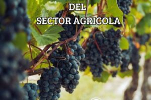 newsletter 22.25