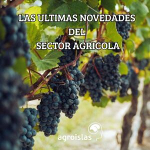 EL SECTOR AGRICOLA, EN TU BLOG SEMANAL