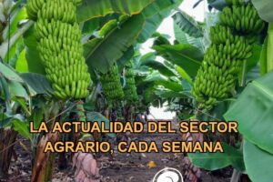 NEWSLETTER 24.25 2