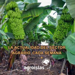 CADA SEMANA EL BLOG DEL SECTOR AGRARIO