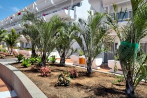 SEMANA 24.25 ASESORAMIENTO