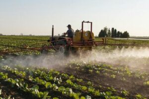 Un agricultor en un tractor pulverizando cultivos en un campo al atardecer, con una neblina de rociado visible sobre las plantas.