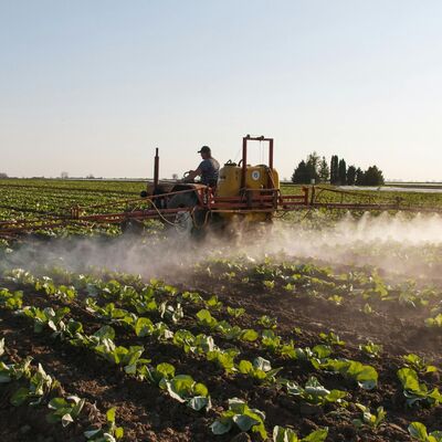 Un agricultor en un tractor pulverizando cultivos en un campo al atardecer, con una neblina de rociado visible sobre las plantas.