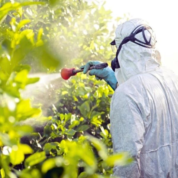 Operador con traje de protección y máscara aplicando fitosanitario a plantas, representando la pulverización segura de cultivos.