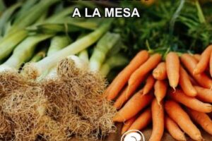 Primer plano de zanahorias frescas y puerros con raíces, mostrando productos agrícolas directos de la tierra, con el texto 'De la Tierra a la Mesa' y el logo de Agroislas.
