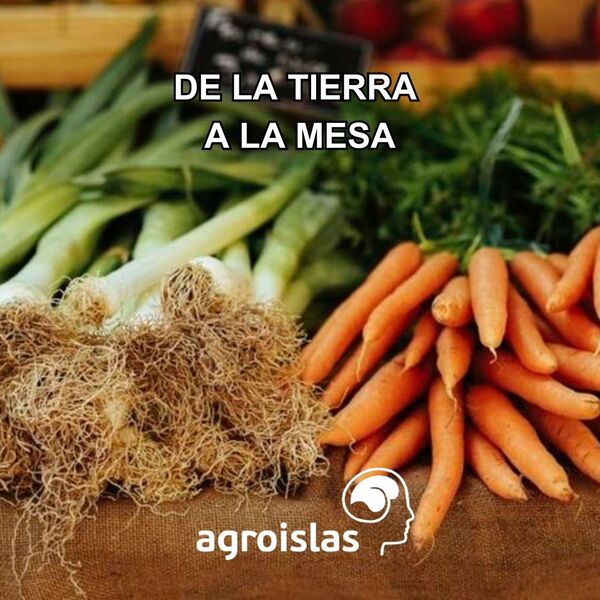 Primer plano de zanahorias frescas y puerros con raíces, mostrando productos agrícolas directos de la tierra, con el texto 'De la Tierra a la Mesa' y el logo de Agroislas.