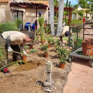 CERTIFICADO DE PROFESIONALIDAD EN JARDINERIA