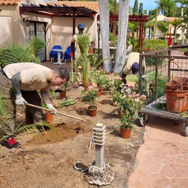 Tres jardineros uniformados están plantando nuevas plantas y flores en un parterre de tierra en un entorno de hotel o resort. Uno de ellos utiliza una azada, otro está de pie y el tercero se agacha junto a un carro con macetas. Hay palmeras y edificios de estilo mediterráneo en el fondo.