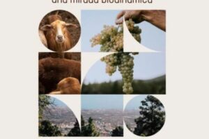 jornada-viticultura-vida-rural-sostenible-biodinamica-bodegas-ferrera.jpg
