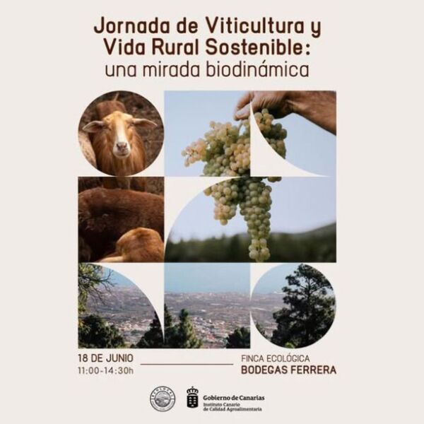 jornada-viticultura-vida-rural-sostenible-biodinamica-bodegas-ferrera.jpg