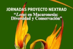 Un cartel promocional verde con una ilustración detallada de una flor 