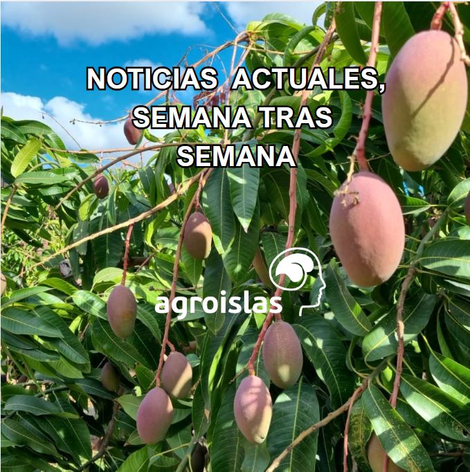 Fruta tropical madura en árbol con texto: Noticias actuales semana tras semana - Agroislas