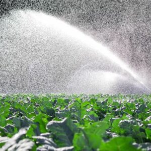 GESTION DEL AGUA EN LA AGRICULTURA
