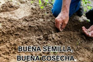Un hombre en cuclillas siembra pequeñas semillas en la tierra con sus manos, con el texto 