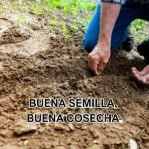 Un hombre en cuclillas siembra pequeñas semillas en la tierra con sus manos, con el texto
