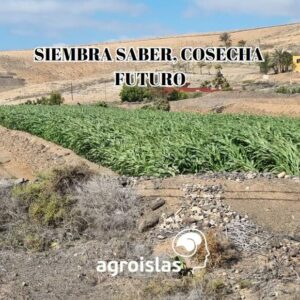 Campo cultivado con frase 'Siembra Saber, Cosecha Futuro' y logo Agroislas, representando el futuro de la agricultura sostenible.