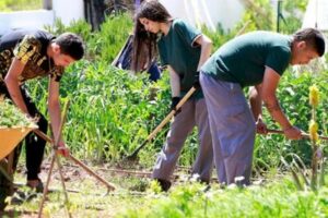 Programa educativo de huertos ecológicos para jóvenes