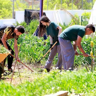 Programa educativo de huertos ecológicos para jóvenes